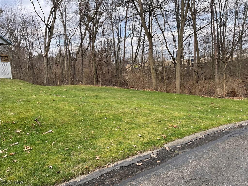 V/L6838 Forest Crk, Wooster, OH 44691