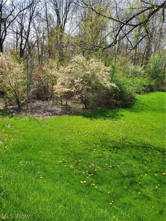 9765 Washington St, Chagrin Falls OH, 44023 land for sale