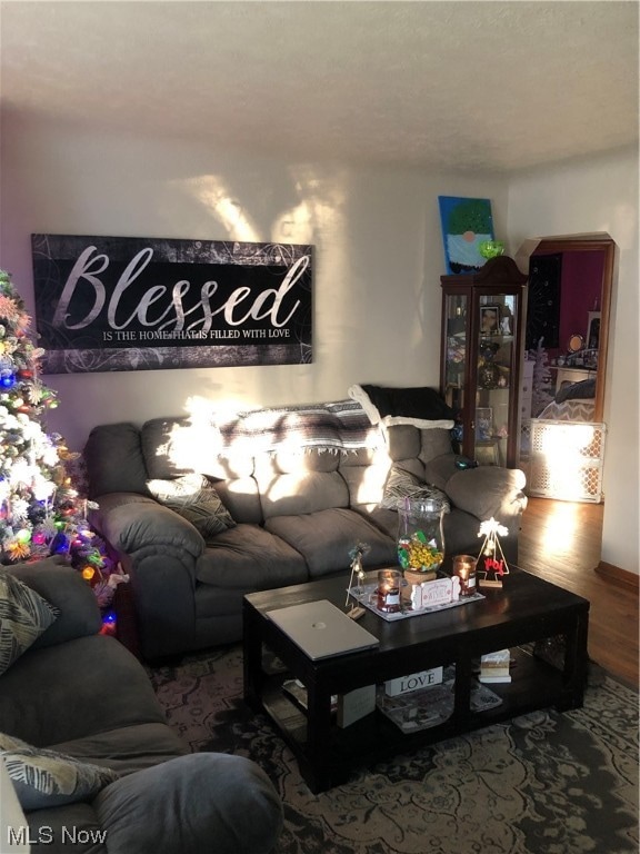 living room with hardwood / wood-style floors