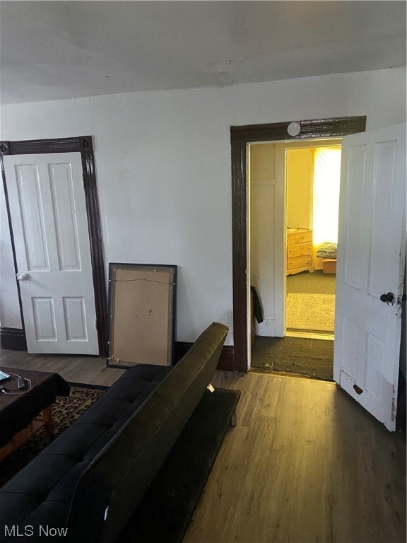 living room featuring hardwood / wood-style floors