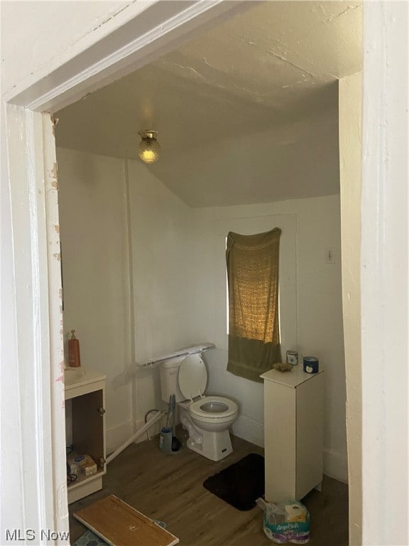 bathroom featuring wood-type flooring and toilet