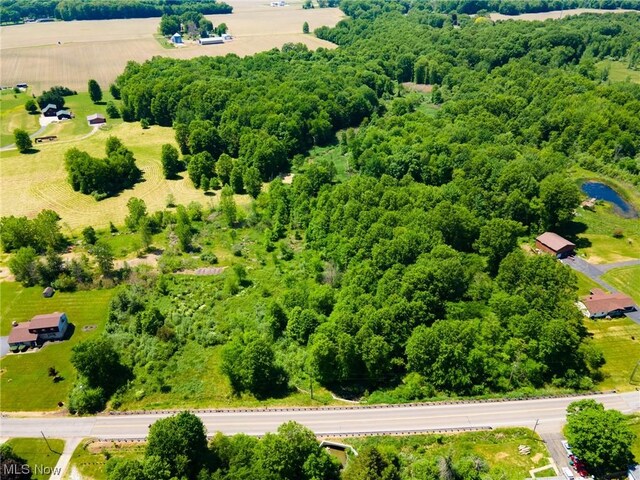Palmyra, Warren, OH 44481