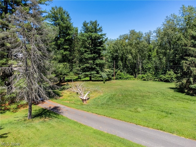 view of community featuring a lawn