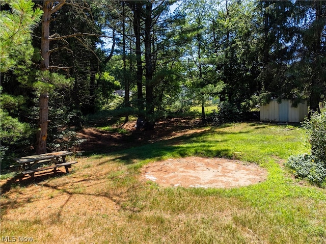 view of yard featuring a storage shed