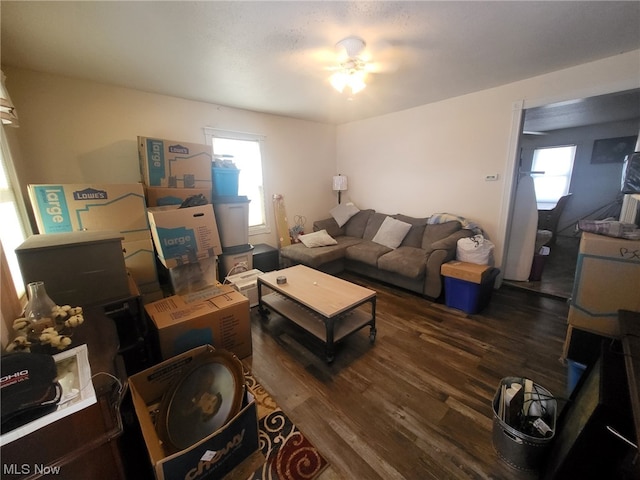 living room featuring ceiling fan and dark hardwood / wood-style flooring