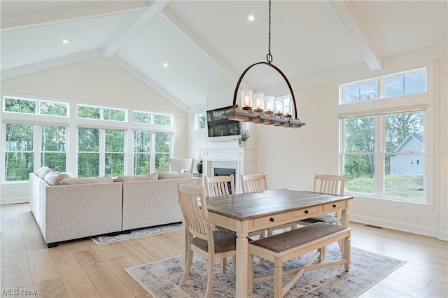 dining space featuring a tiled fireplace, light hardwood / wood-style floors, and a healthy amount of sunlight