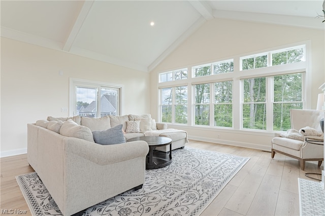 living room with beamed ceiling, light hardwood / wood-style flooring, and a wealth of natural light