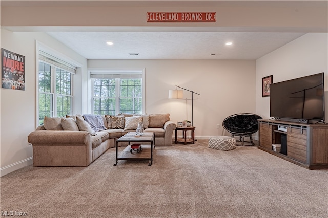 living room featuring light carpet