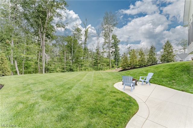 view of yard with a patio