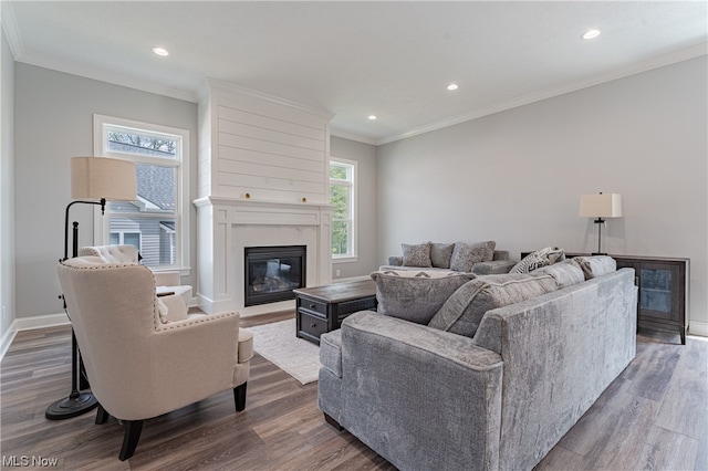 living room with crown molding, a premium fireplace, and wood-type flooring