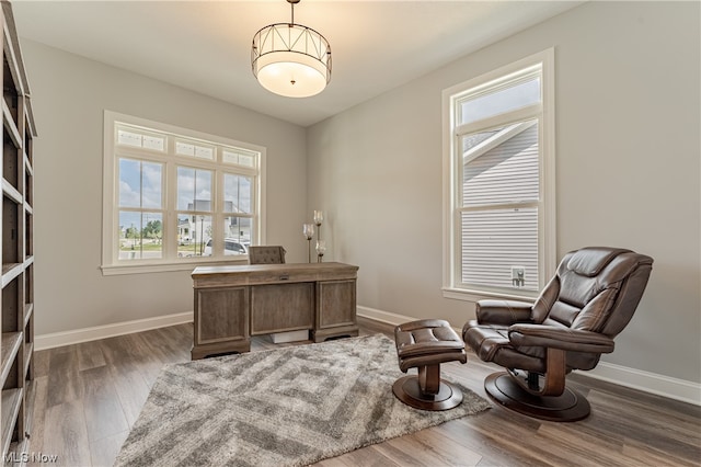 office featuring dark hardwood / wood-style floors