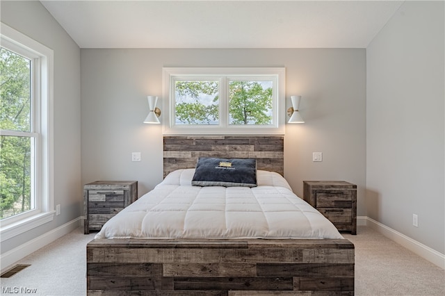 carpeted bedroom featuring multiple windows