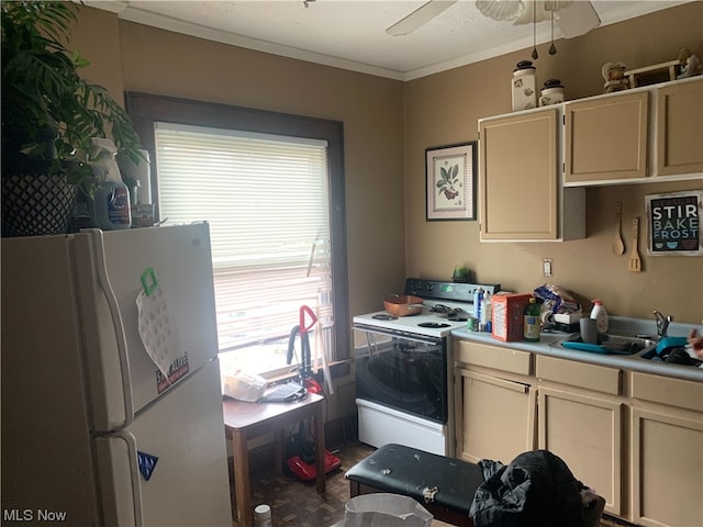 kitchen with cream cabinetry, ceiling fan, white appliances, sink, and crown molding