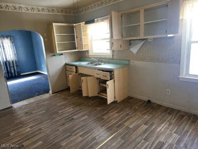 kitchen with sink and dark wood-type flooring