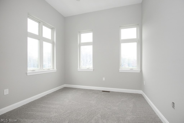 empty room featuring plenty of natural light and carpet