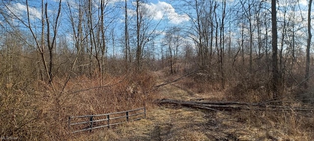 VL Risher Road, Warren OH, 44481 land for sale