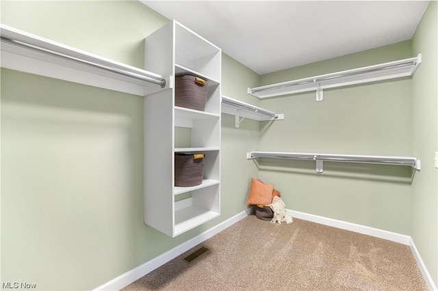 spacious closet with carpet