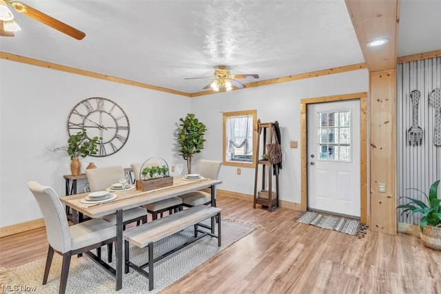 dining area with ceiling fan, ornamental molding, and light wood-type flooring