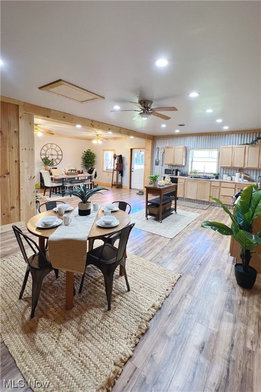 dining room featuring ceiling fan and light hardwood / wood-style flooring