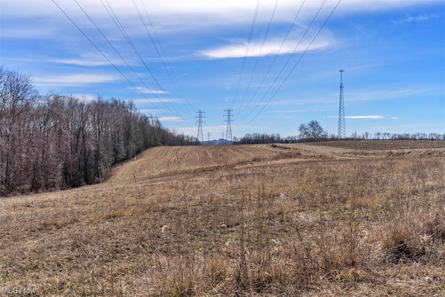 view of local wilderness