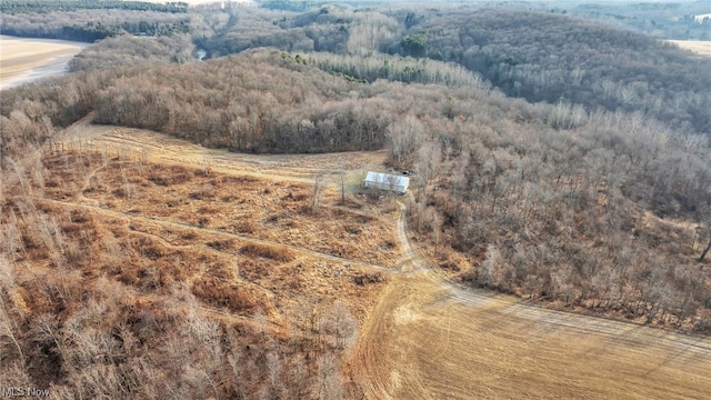 view of drone / aerial view