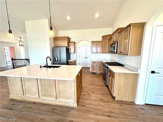 kitchen with light wood finished floors, a center island with sink, appliances with stainless steel finishes, hanging light fixtures, and a sink