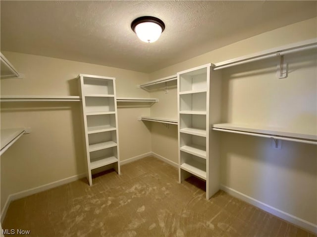 spacious closet with carpet flooring