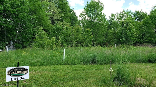 10890 Fox Den Cir, Garrettsville OH, 44231 land for sale