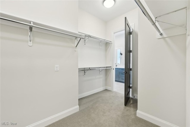 spacious closet featuring light colored carpet