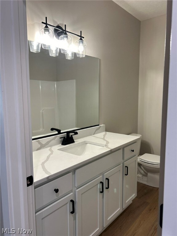 944 Queen Anne Dr NW, Massillon, OH 44647 - bathroom featuring vanity with extensive cabinet space, wood-type flooring, and toilet