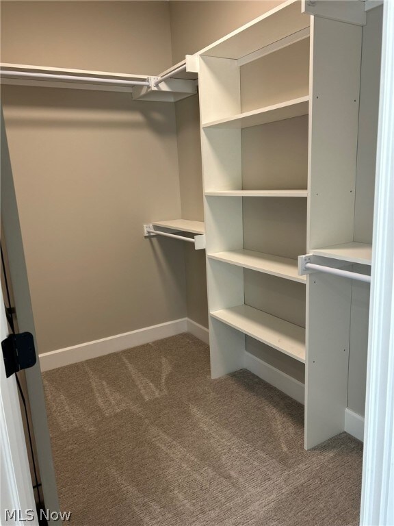 944 Queen Anne Dr NW, Massillon, OH 44647 - walk in closet with dark carpet