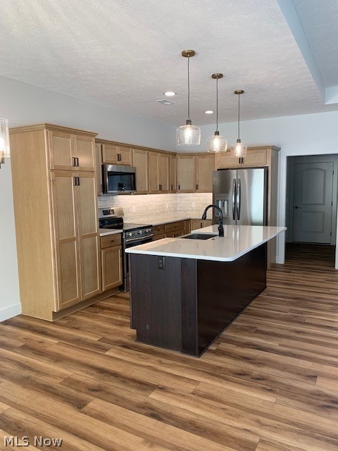 kitchen with appliances with stainless steel finishes, sink, tasteful backsplash, wood-type flooring, and an island with sink