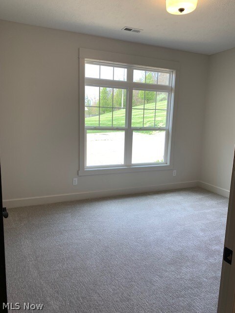 carpeted spare room with plenty of natural light