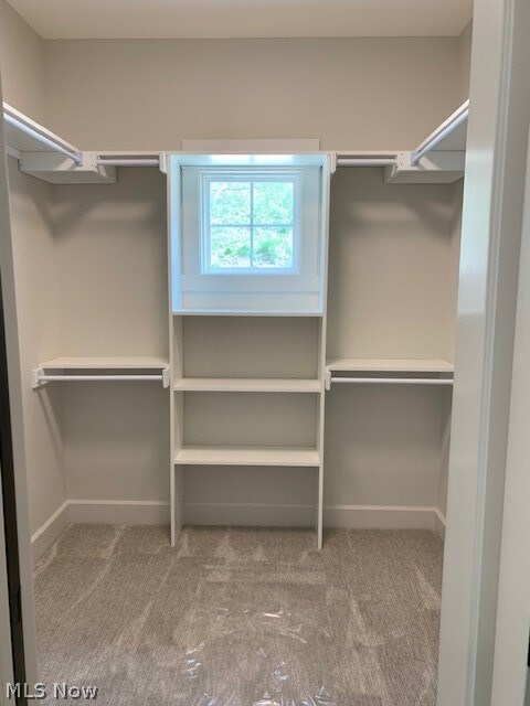 spacious closet featuring carpet floors