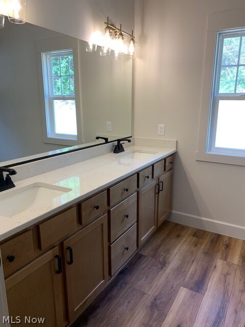 bathroom featuring a healthy amount of sunlight, wood-type flooring, and dual bowl vanity