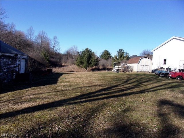 view of yard with a storage shed