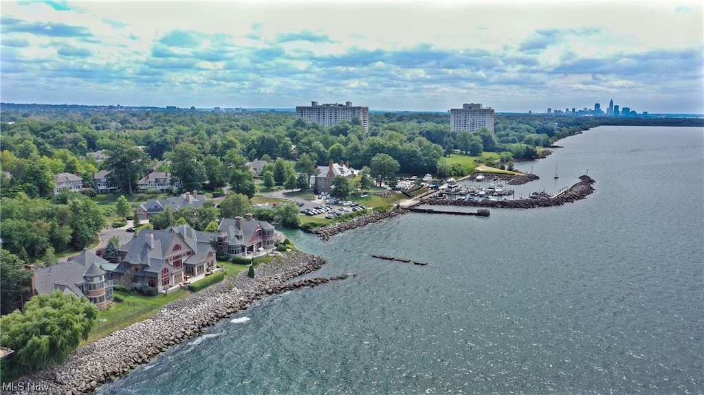 aerial view with a water view