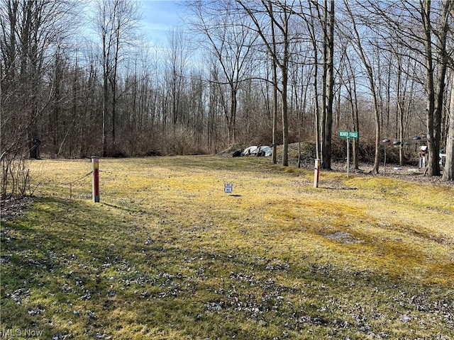 Carson Salt Springs Rd, Lordstown OH, 44481 land for sale