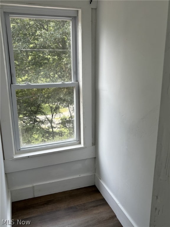 interior space featuring wood-type flooring