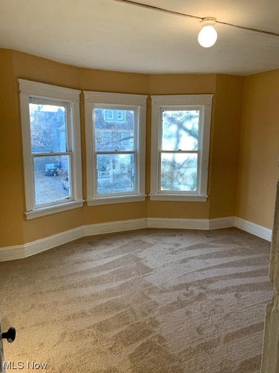 empty room featuring a wealth of natural light and light carpet