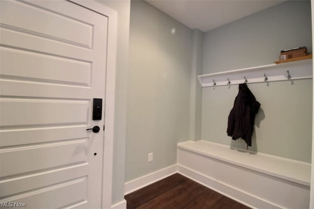 mudroom featuring dark hardwood / wood-style flooring