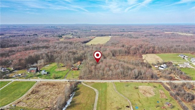 Dewey Rd, Thompson OH, 44086 land for sale