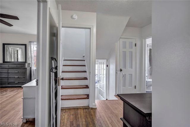 stairs with hardwood / wood-style flooring, ceiling fan, and plenty of natural light