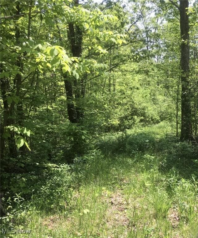 0 Fowlers Mill Rd, Chardon OH, 44024 land for sale