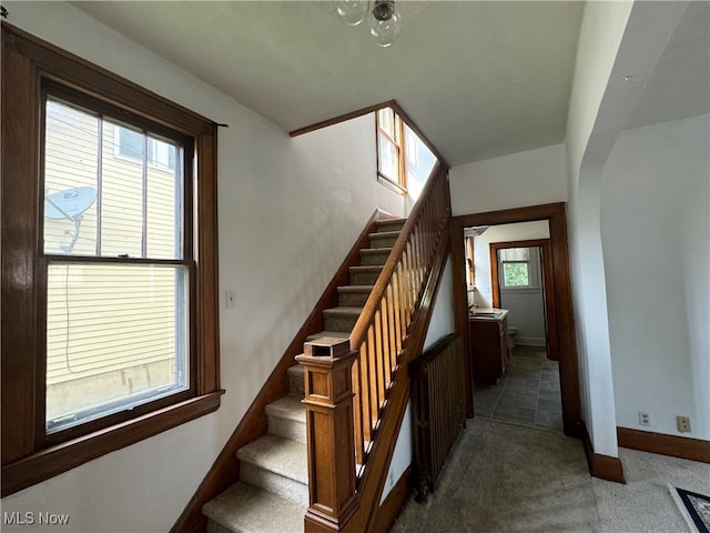 staircase featuring carpet flooring and a wealth of natural light