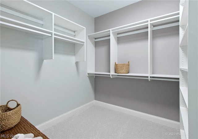 walk in closet with carpet