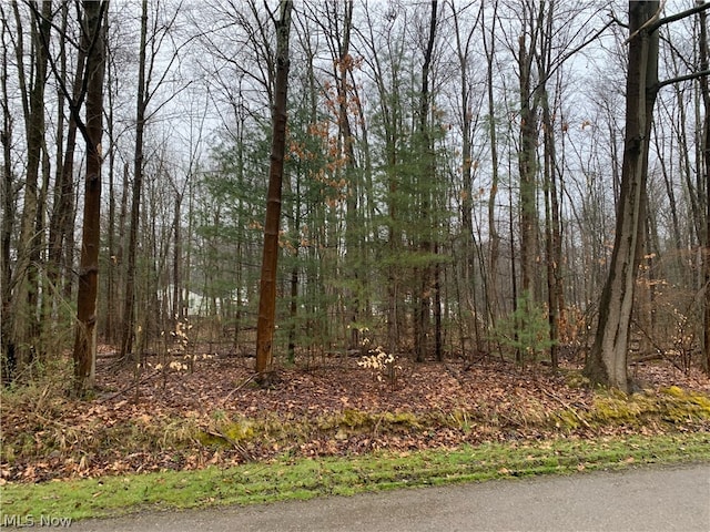 Lakeview Rd, Andover OH, 44003 land for sale