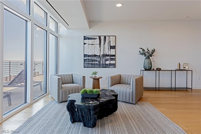 living area featuring light hardwood / wood-style flooring