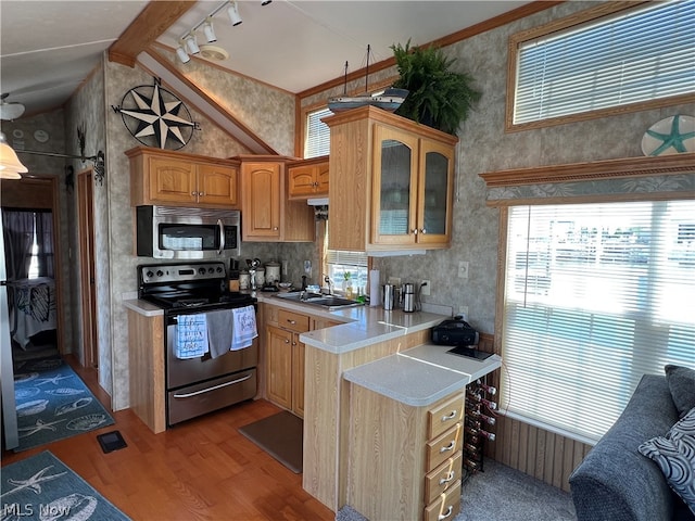 kitchen with light wood-type flooring, stainless steel appliances, sink, high vaulted ceiling, and rail lighting