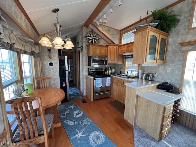 kitchen featuring an inviting chandelier, pendant lighting, track lighting, stainless steel appliances, and light hardwood / wood-style floors